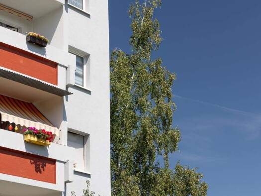 Wohnung zur Miete 326 € 3 Zimmer 56 m² EG Hanoier Straße 66 Silberhöhe Halle (Saale) 06132