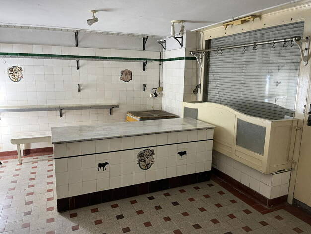 Einfamilienhaus zum Kauf provisionsfrei 99.000 € 8 Zimmer 230 m² 556 m² Grundstück Schraplau 06279