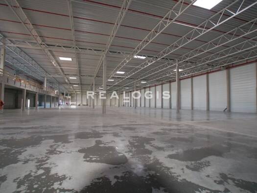 Halle/Industriefläche zur Miete provisionsfrei 15.000 m² Lagerfläche Frankenthal 67227