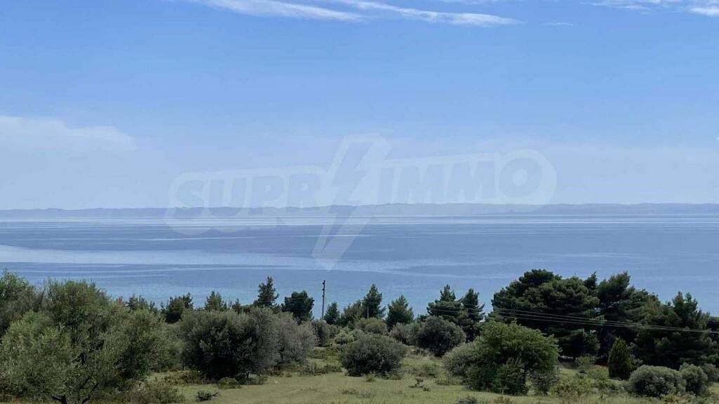 Landwirtschaftliche Fläche zum Kauf 900.000 € Vatopedi