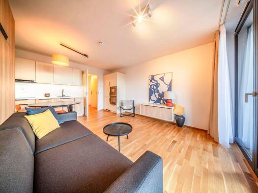 Wohnung zum Kauf - Neubau provisionsfrei 247.500 € 1 Zimmer 33,3 m² 3. Geschoss Leipziger Vorstadt Ortsamtsbereich Neustadt 01127