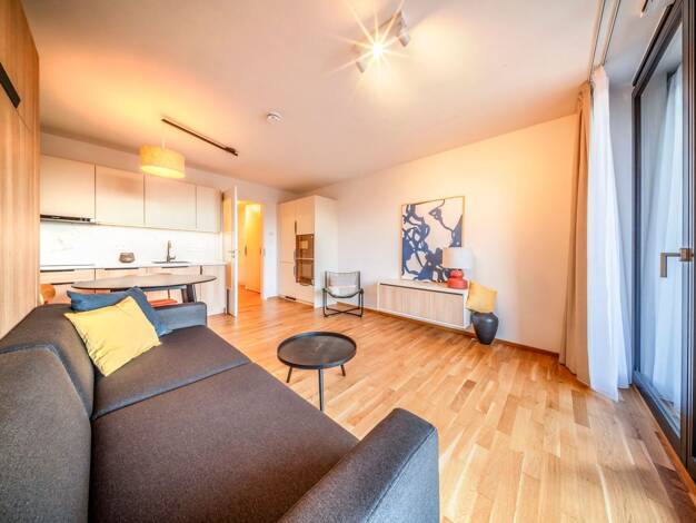 Wohnung zum Kauf - Neubau provisionsfrei 247.500 € 1 Zimmer 33,3 m² 3. Geschoss Leipziger Vorstadt Dresden 01127