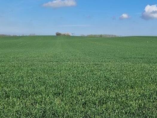 Land-/Forstwirtschaft zum Kauf 2.000.000 m² Grundstück Altstadt Wismar 23966