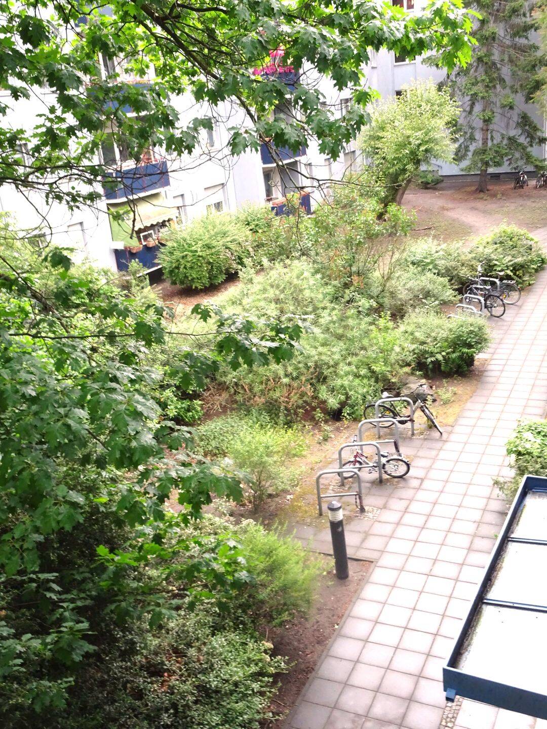 Property thumbnail 8