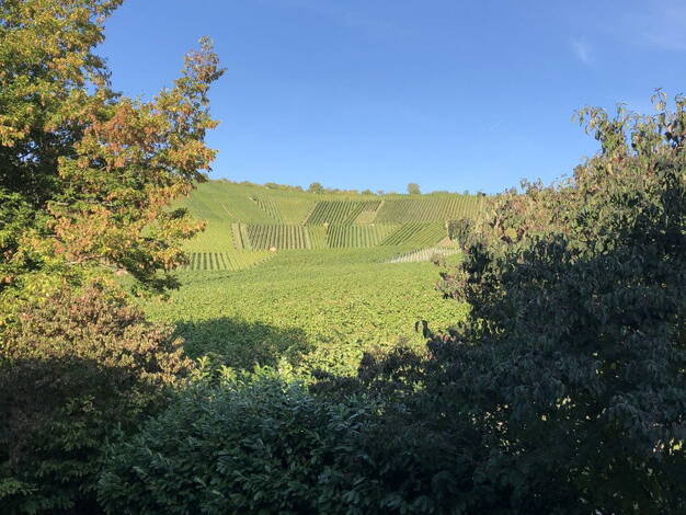 Maisonette zur Miete 1.840 € 4,5 Zimmer 136 m² 2. Geschoss frei ab 01.05.2026 Leinäckerstr. 65 Großheppach Weinstadt 71384