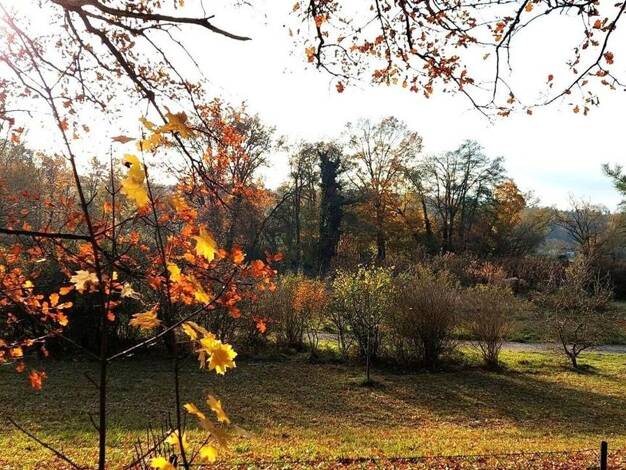 Grundstück zum Kauf provisionsfrei 299.000 € 296 m² Grundstück Reichelsdorf Nürnberg 90453