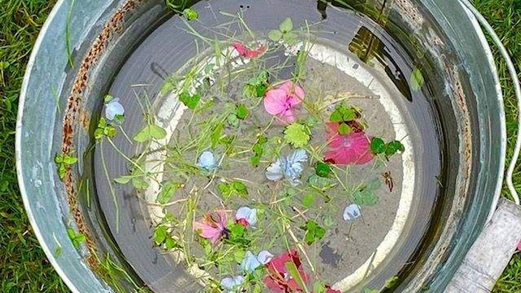 Terrassenwohnung zur Miete 998 € 2 Zimmer 72,6 m² frei ab 01.09.2026 Süderstapel 25879