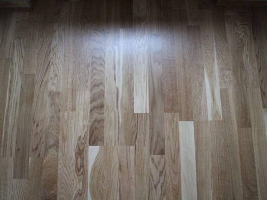 Studio zur Miete 455 € 1 Zimmer 20 m² Meißen 01662