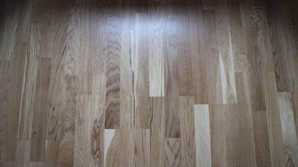 Studio zur Miete 455 € 1 Zimmer 20 m² Meißen 01662