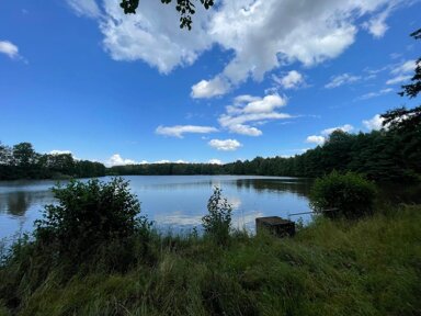 Landwirtschaftliche Fläche zum Kauf provisionsfrei 200.000 € 71.221 m² Grundstück Plothen 07907