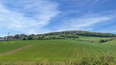 Mehrfamilienhaus zum Kauf 785.000 € 253,9 m² 1.075 m² Grundstück Winkels Bad Kissingen / Winkels 97688