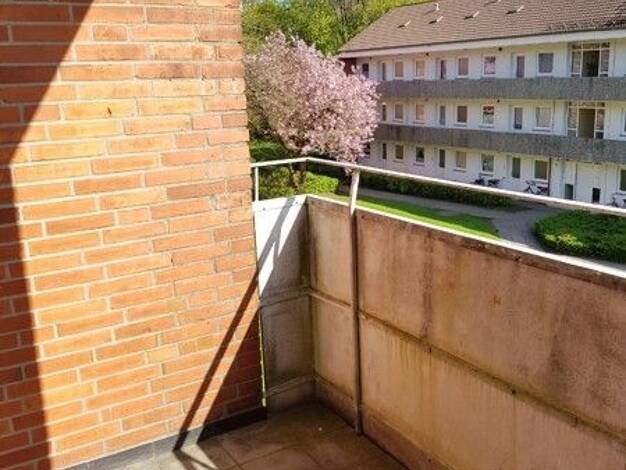 Wohnung zur Miete 341 € 1,5 Zimmer 44,1 m² 2. Geschoss frei ab 01.12.2025 Foehrer Straße 20 Heide 25746