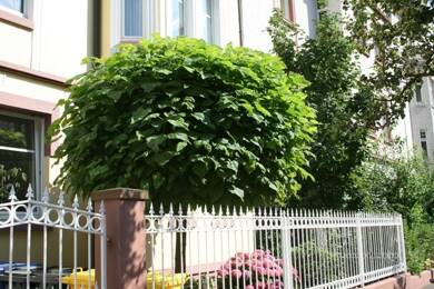 Wohnung zur Miete 1.200 € 3 Zimmer 95 m² Geschoss 3/4 Nordwest Hanau 63452