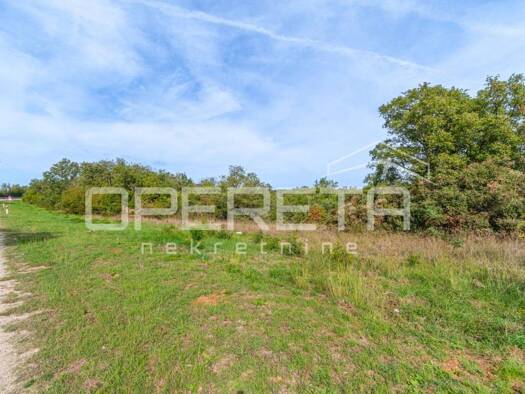 Acker-/Waldstück zum Kauf 136.000 € Buje 52460