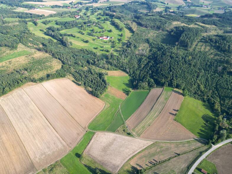 Land/Forstwirtschaft kaufen in Beutelsbach immowelt