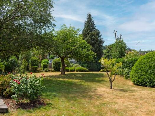 Einfamilienhaus zum Kauf 649.000 € 11 Zimmer 272 m² 1.548 m² Grundstück Wasserliesch 54332
