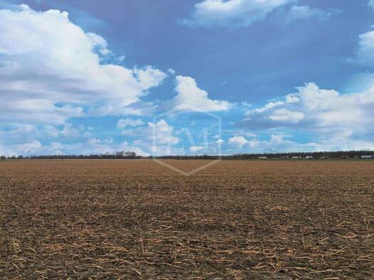 Landwirtschaftliche Fläche zum Kauf 1.245.000 € 77.587 m² Grundstück Lechenich Erftstadt 50374