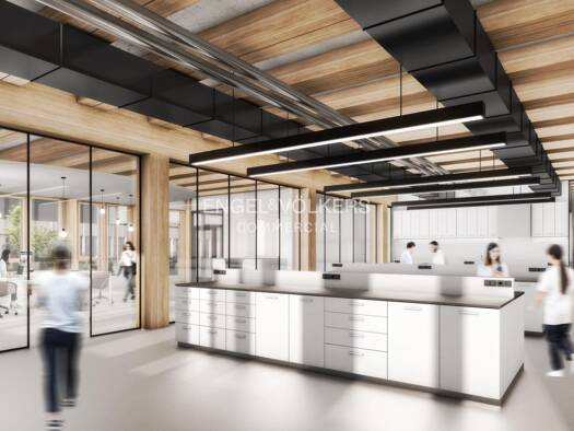 Büro zur Miete 25 € 661,9 m² Bürofläche teilbar ab 262 m² Dahlem Berlin 14195