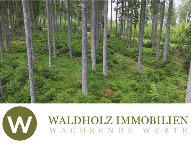 Forstwirtschaft zum Kauf 506.637 m² Grundstück Langenbach Vöhrenbach 78147