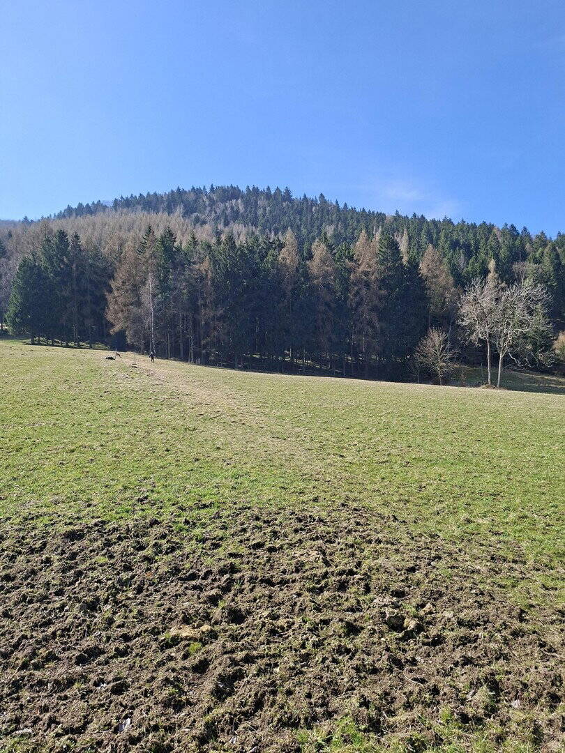 Einfamilienhaus zum Kauf - Ansicht 3