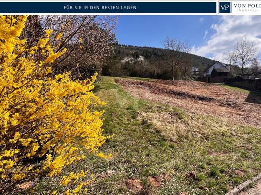 Grundstück zum Kauf 368.000 € 868 m² Grundstück Bürgstadt 63927