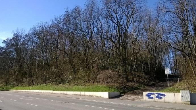 Gewerbegrundstück zur Miete provisionsfrei 23.693 m²<br/>Grundstück Rostocker Straße Innenstadt Riesa 01587