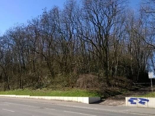 Gewerbegrundstück zur Miete provisionsfrei 23.693 m² Grundstück Rostocker Straße Weida Riesa 01587