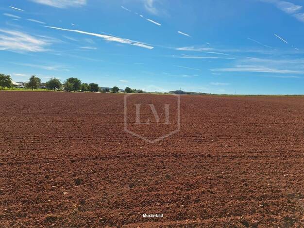 Landwirtschaftliche Fläche zum Kauf 1.000.000 m² Grundstück Dockweiler 54552