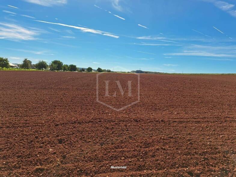 Landwirtschaftliche Fläche zum Kauf 1.000.000 m² Grundstück Dockweiler 54552