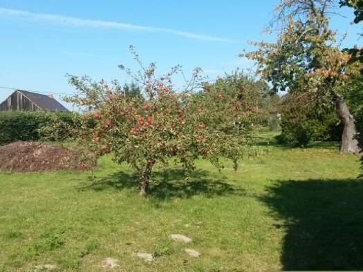 Grundstück zum Kauf provisionsfrei 47.808 € 498 m² Grundstück Heinsdorf-Gartenweg Niebendorf-Heinsdorf Dahme/Mark 15936