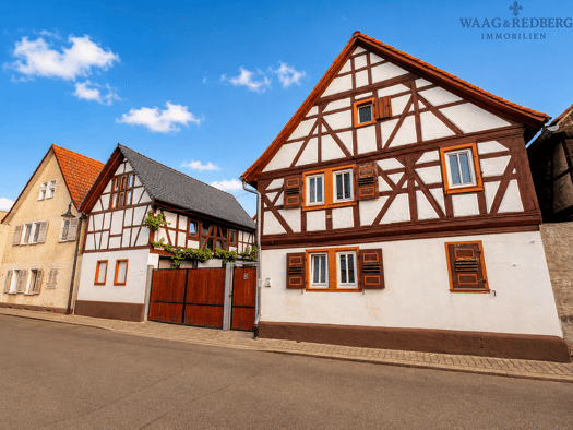 Haus zum Kauf 1.349.000 € 15 Zimmer 500 m² 1.000 m² Grundstück Groß-Gerau Groß-Gerau 64521
