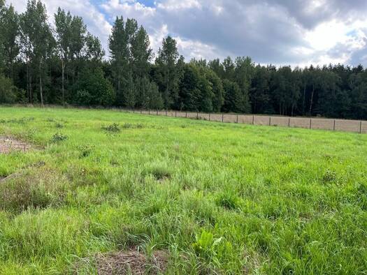 Grundstück zum Kauf provisionsfrei 166.500 € 900 m² Grundstück Neukirchen Neukirchen/Erzgebirge 09221