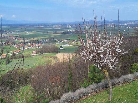 Einfamilienhaus zum Kauf 545.000 € 5 Zimmer 255 m² 3.565 m² Grundstück Videm pri Ptuju 2284