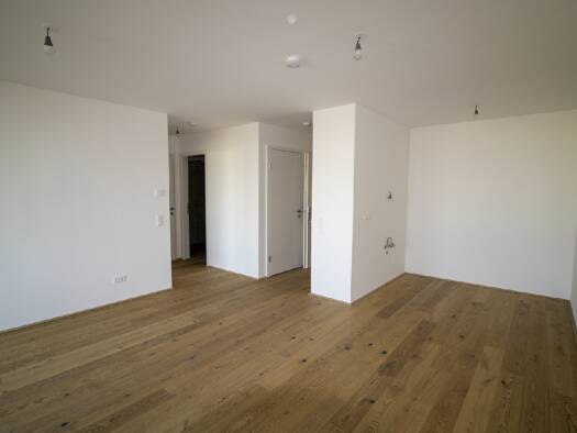 Wohnung zum Kauf 345.000 € 2 Zimmer 55 m² Favoriten 1100