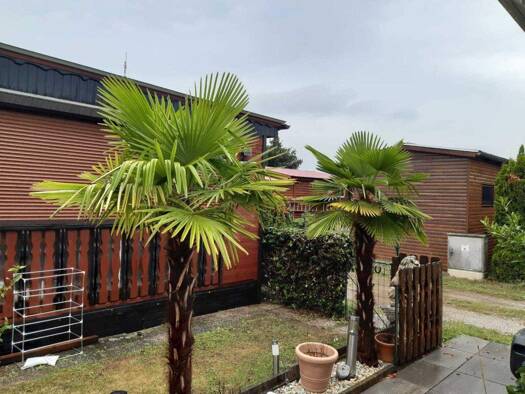 Sonstiges zum Kauf 35.000 € 58 m² 164 m² Grundstück Sankt Andrä am Zicksee 7161