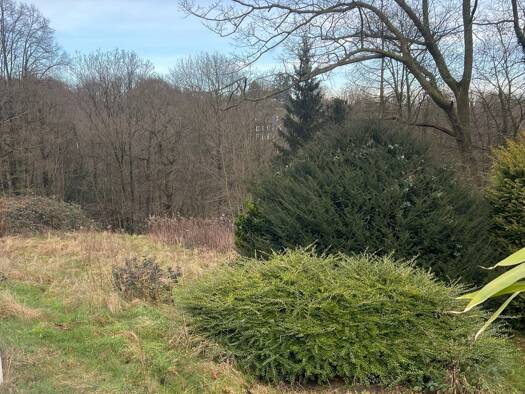 Grundstück zum Kauf provisionsfrei 315.000 € 650 m² Grundstück Telgte Telgte 48291