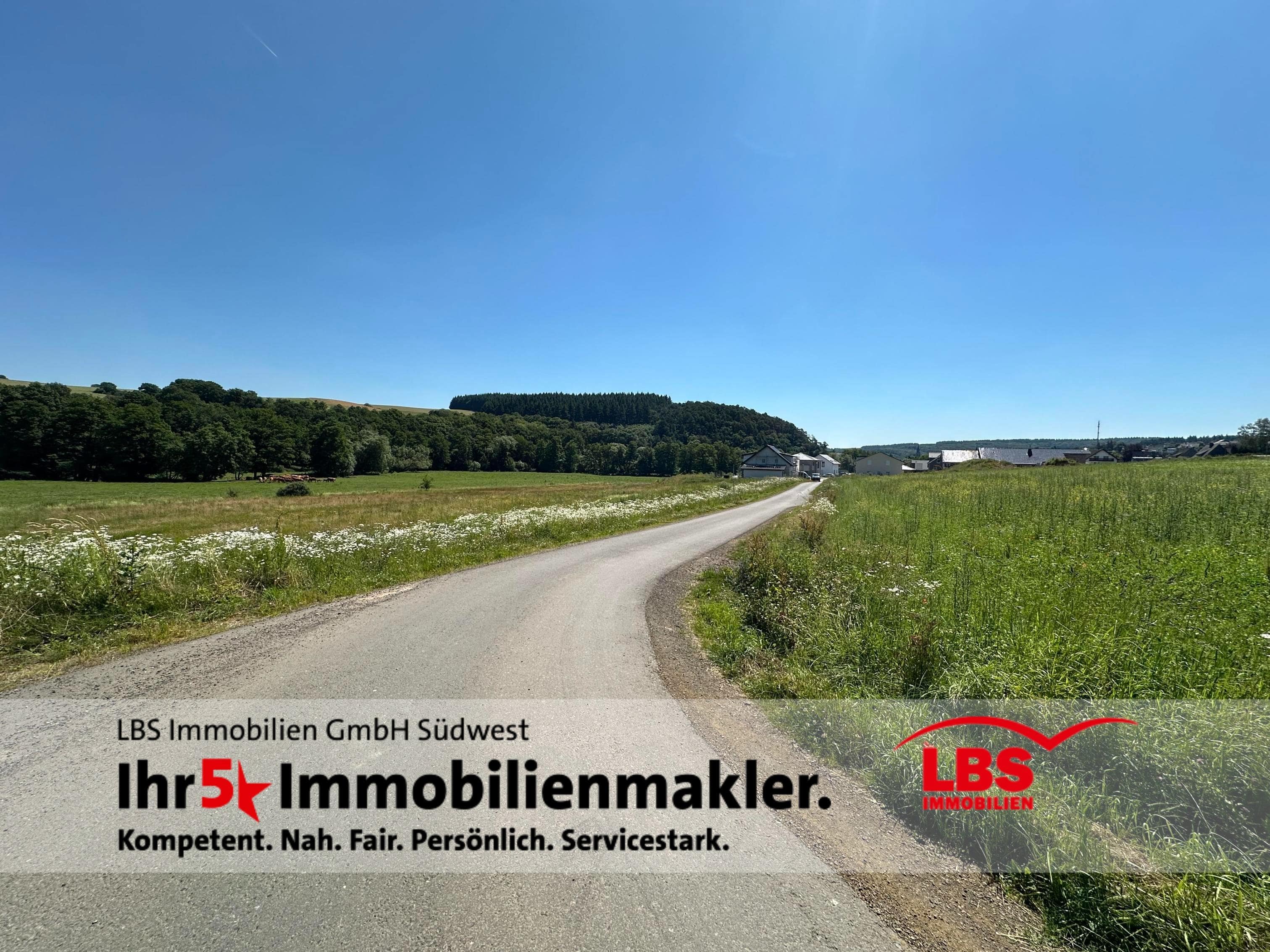 Grundstück zum Kauf 35.000 € 1.000 m²<br/>Grundstück Rhaunen 55624