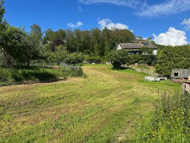 Einfamilienhaus zum Kauf 279.000 € 7 Zimmer 187 m² 2.035 m² Grundstück Dörnbach Dörnbach 67806