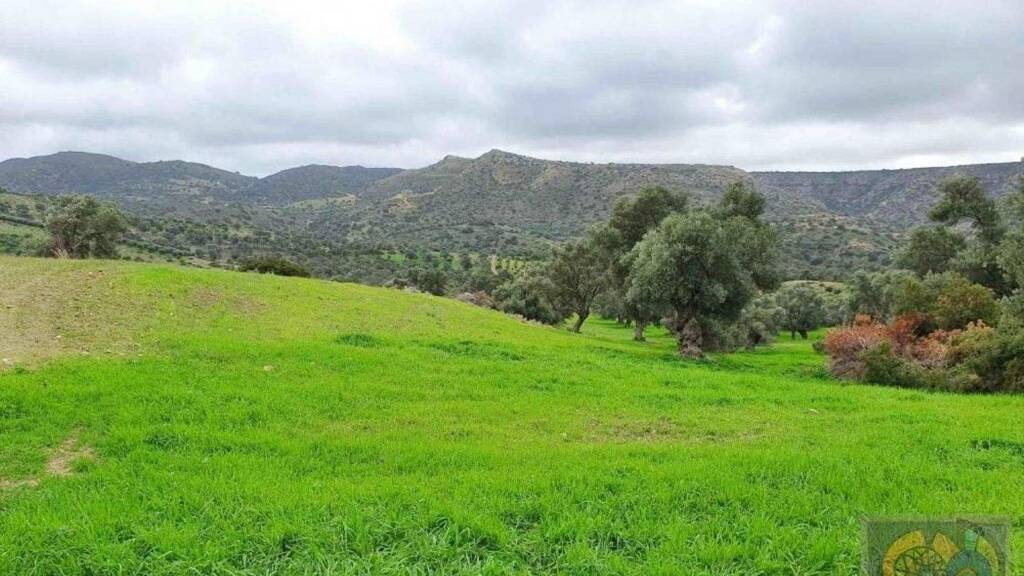 Grundstück zum Kauf 170.000 € 18.000 m² Grundstück * * Pitsidia 702 00