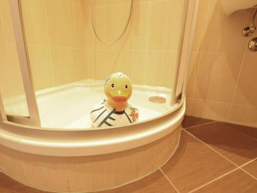 Wohnung zur Miete 351 € 3 Zimmer 57,5 m² 3. Geschoss Irkutsker Straße 257 Kappel Chemnitz 09119