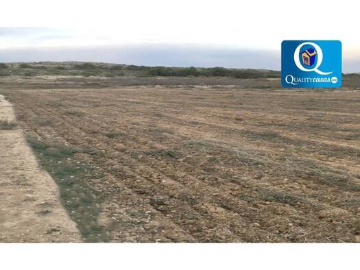 Acker-/Waldstück zum Kauf 45.000 € Alicante 03320