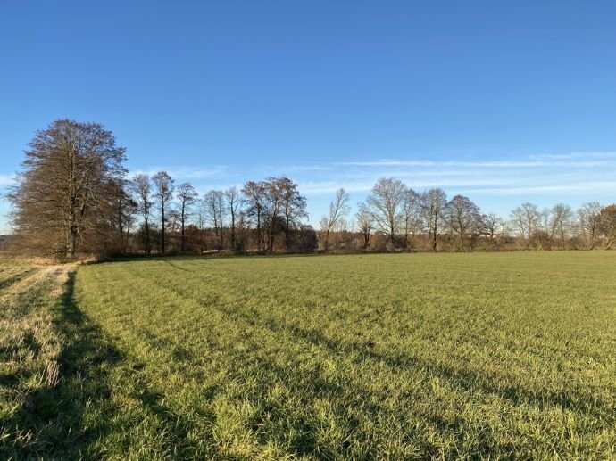 Land-/Forstwirtschaft zum Kauf 245.698 € 20.665 m²<br/>Grundstück Waidhofen Waidhofen / Schenkenau 86579