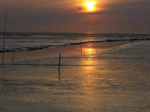 Haus zum Kauf 1.475.000 € 10 Zimmer 775 m² Grundstück Esens Werdum 26427