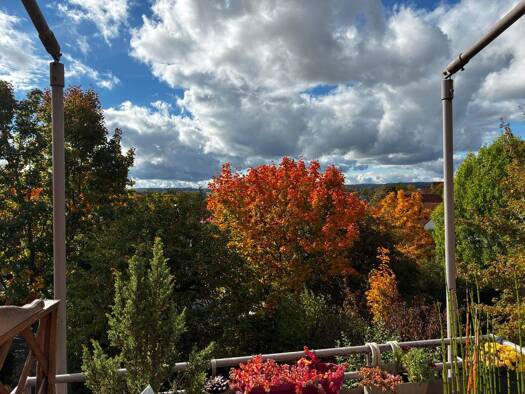 Wohnung zum Kauf 130.000 € 2 Zimmer 56 m² frei ab sofort Brendlorenzen Bad Neustadt an der Saale 97616