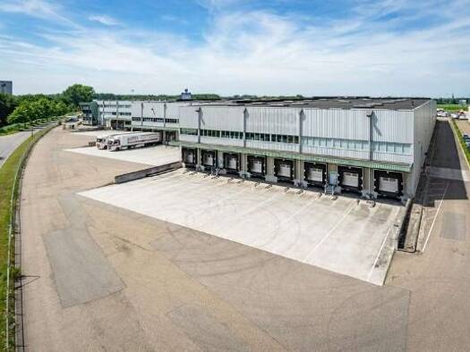 Lagerhalle zur Miete - Erstbezug 12.000 m² Lagerfläche teilbar ab 2.800 m² - Ransbach-Baumbach 56235