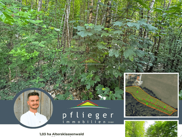Land-/Forstwirtschaft zum Kauf provisionsfrei 45.000 € 10.339 m² Grundstück Panholz Fürstenstein 94538