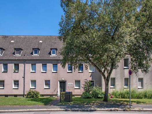Wohnung zur Miete 279 € 2 Zimmer 35 m² 2. Geschoss Feldhauser Straße 220 Scholven Gelsenkirchen-Nord 45896