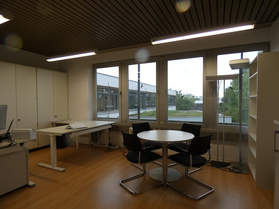 Bürofläche zur Miete 395 € 1 Zimmer 23 m²<br/>Bürofläche Karl-Lösch-Str. 3 Lingenfeld 67360