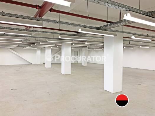 Lagerhalle zur Miete 500 m² Lagerfläche teilbar ab 500 m² Hammerbrook Hamburg 20537