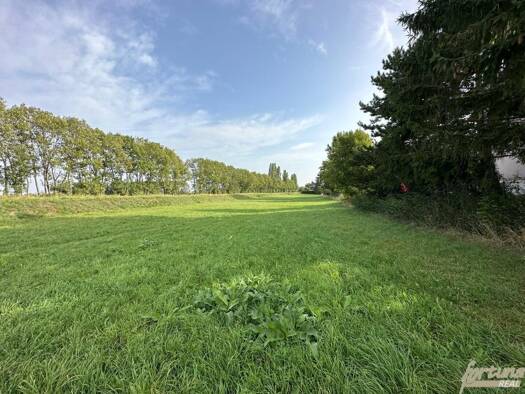 Grundstück zum Kauf 800.000 € 4.950 m² Grundstück Königstetten 3433